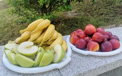 IMG 20210719 154951